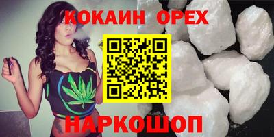 прущие грибы Краснодар