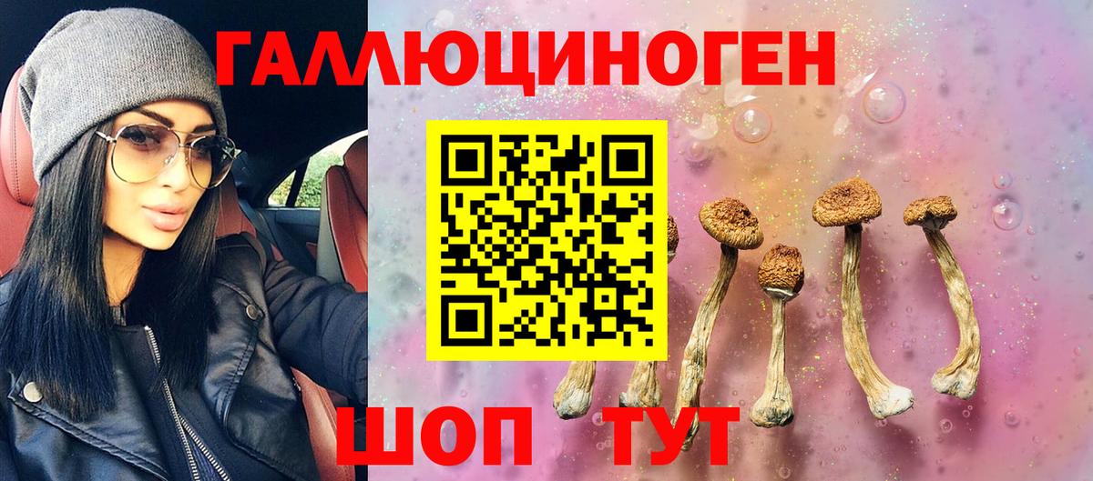 Псилоцибиновые грибы прущие грибы Владивосток